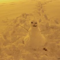 Our snowman with mohawh, ou jea